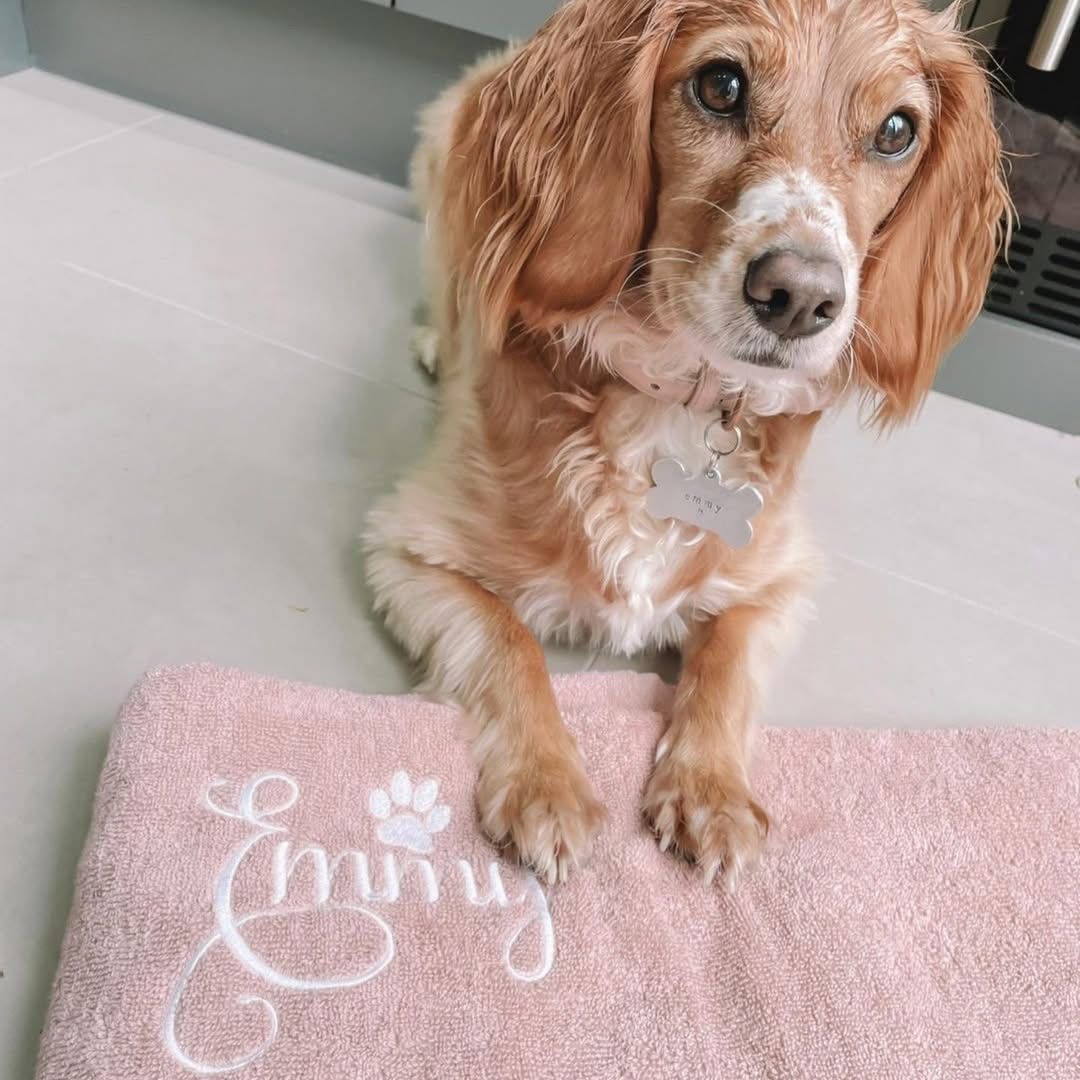 Soft absorbent pink dog and cat towel with personalised name embroidery, perfect for bath time or drying after walks.
