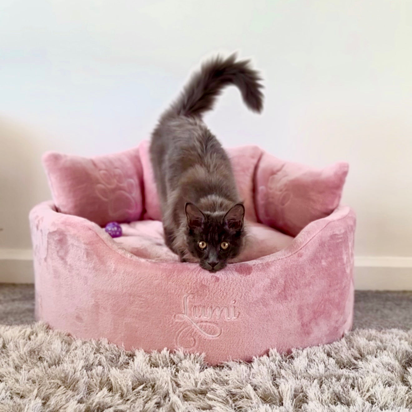Super soft pink dog and cat bed with personalised name embroidery, providing cozy comfort for pets.