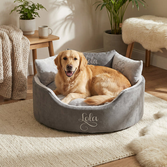 Large Dog Bed