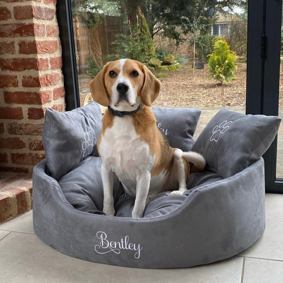 Soft grey suede dog and cat bed with personalised name embroidery, providing comfort and style for your pet.