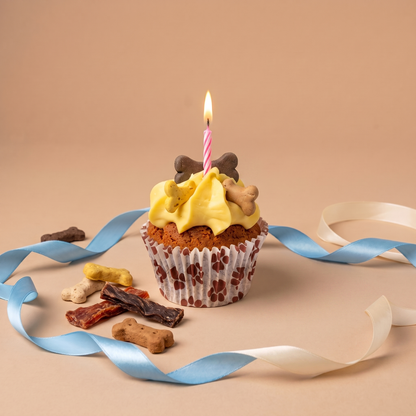 Dog birthday cake 