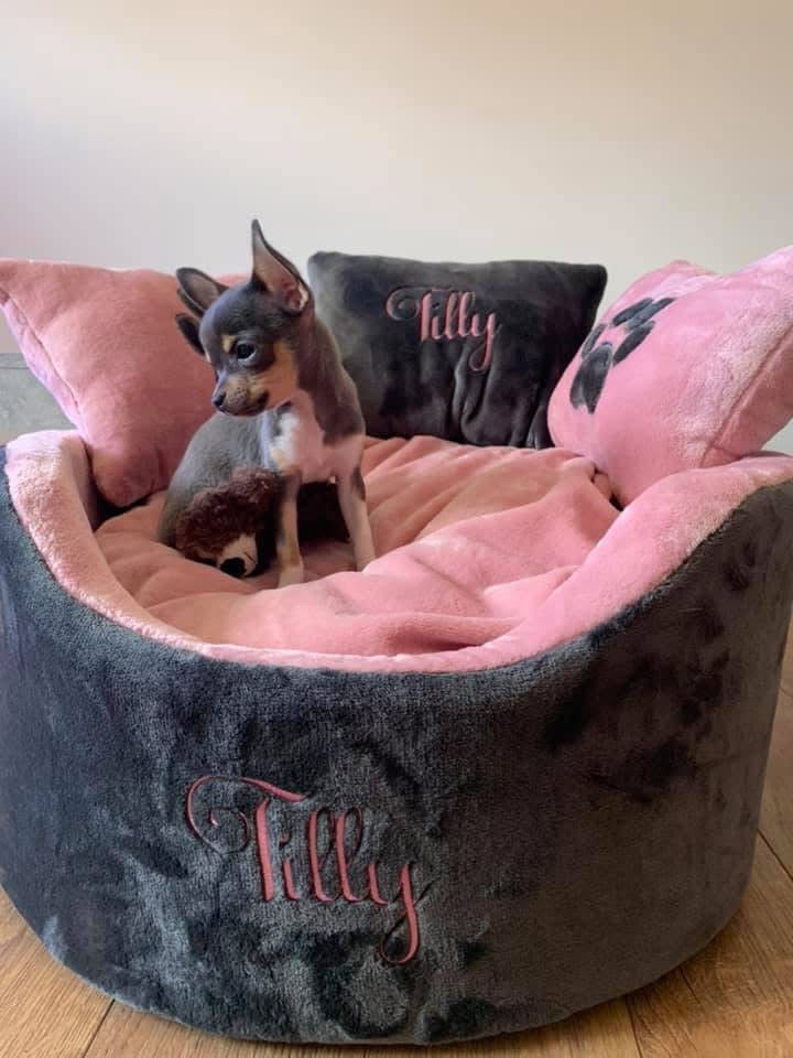 Soft pink and grey dog and cat bed with personalised name embroidery, providing comfort and style for your pet.