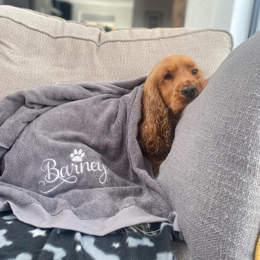 Soft absorbent grey dog and cat towel with personalised name embroidery, perfect for bath time or drying after walks.