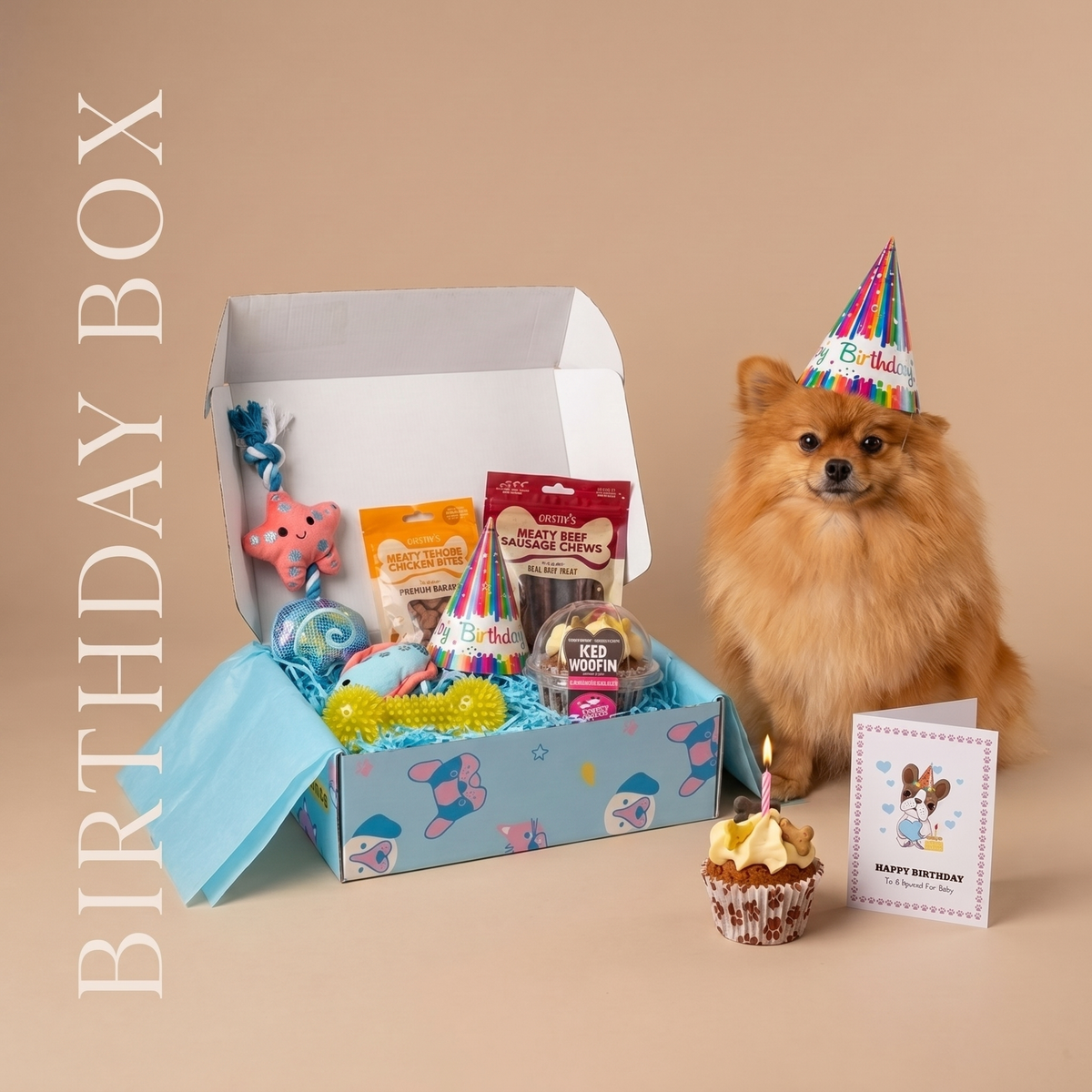 dog_birthday_box_1