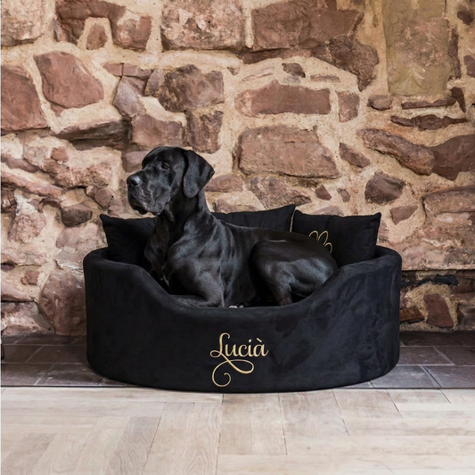 personalised black suede and gold large dog bed 