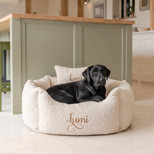 personalised cream and gold snuggle large dog bed 