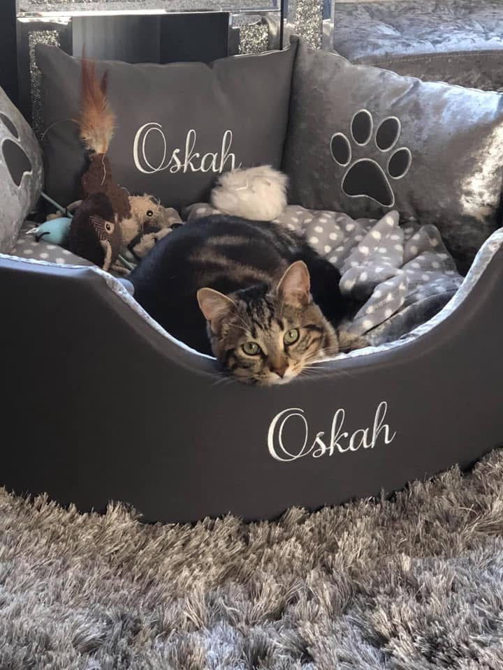 Soft grey leather and silver crushed dog and cat bed with personalised name embroidery, providing comfort and style for your pet.