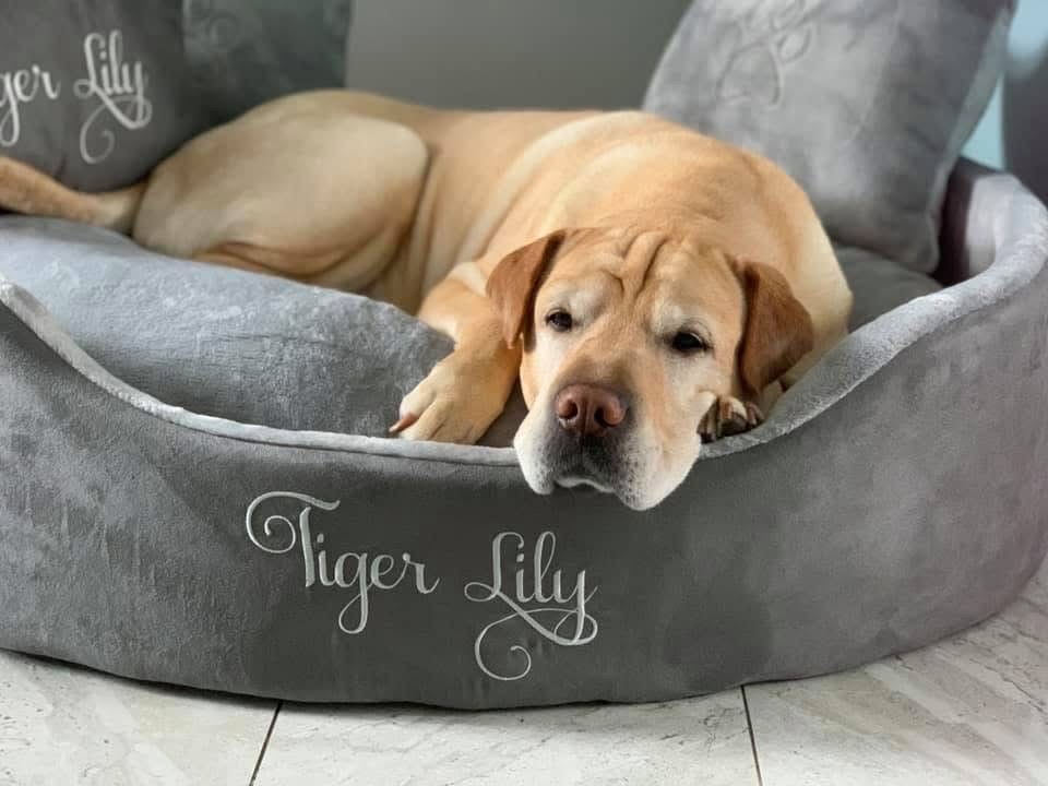 Soft grey suede and silver dog and cat bed with personalised name embroidery, providing comfort and style for your pet.
