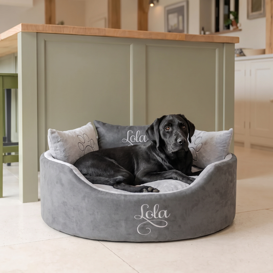 personalised_grey_suede_and_silver_large_dog_bed