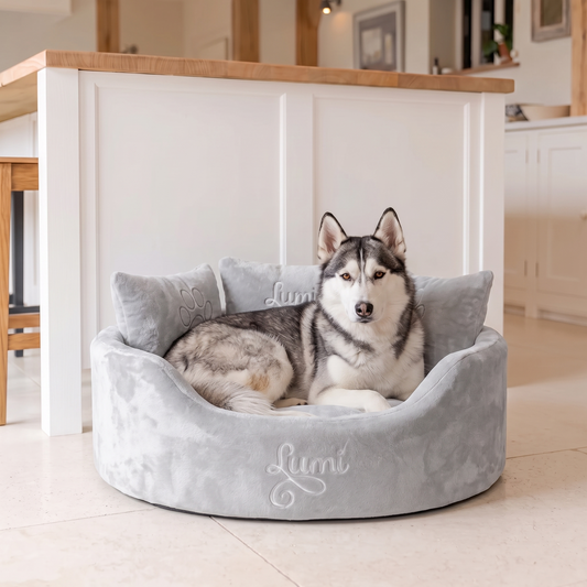 personalised_silver_supersoft_large_dog_bed_2