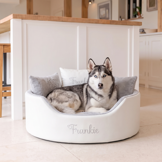 personalised_white_leather_and_silver_large_dog_bed